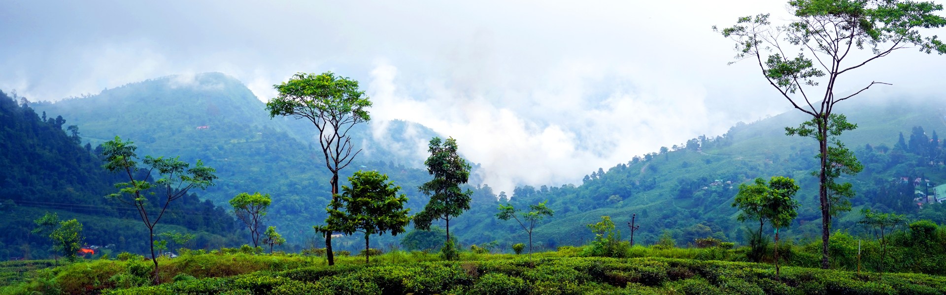 west bengal